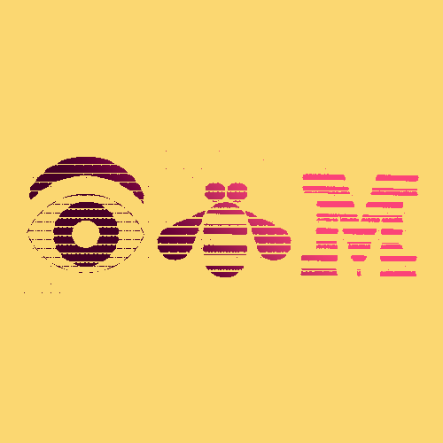 IBM