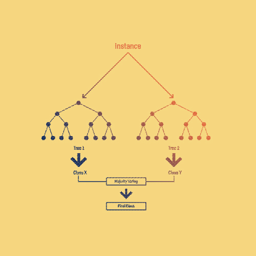Decision Trees & Random Forests